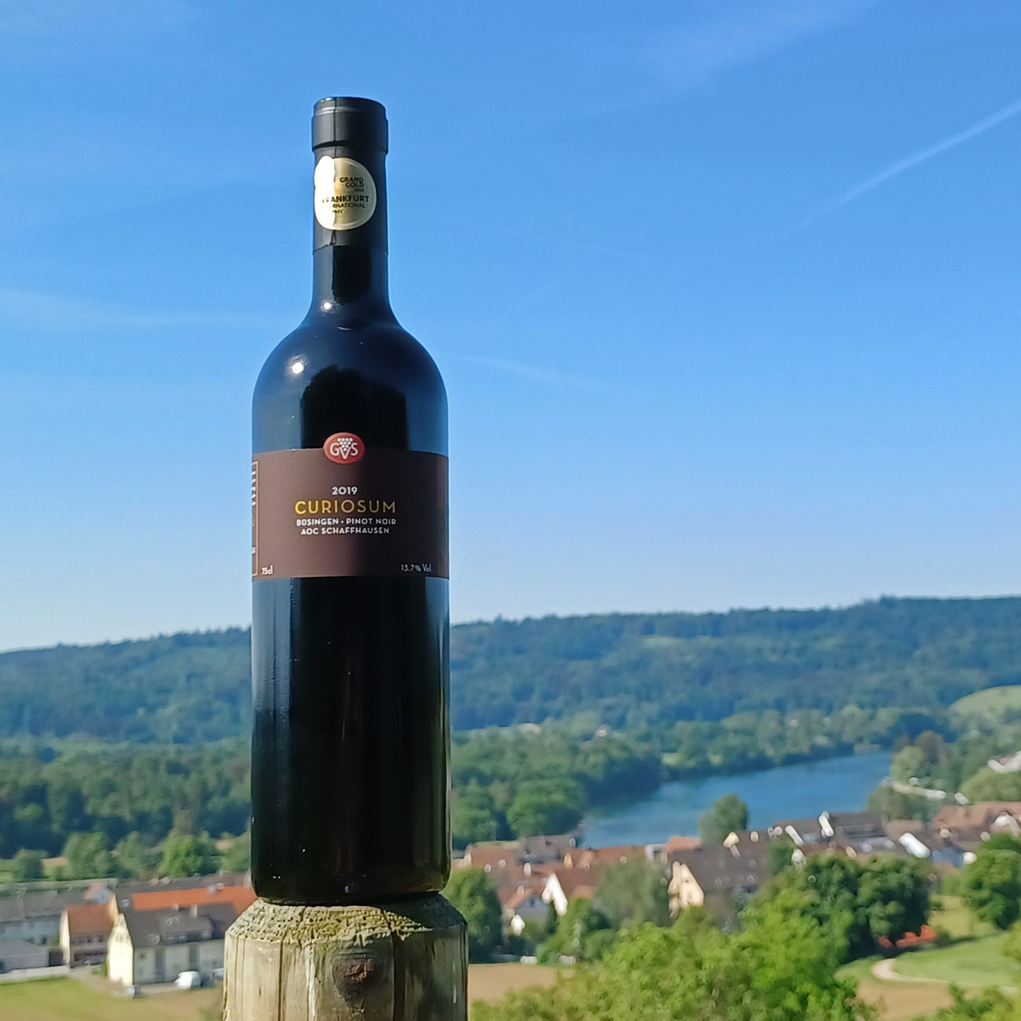 So entstehen Legenden: Grosses Gold für den Curiosum Büsingen Pinot Noir Réserve 2019